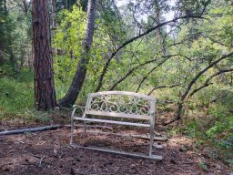 Secret garden bench